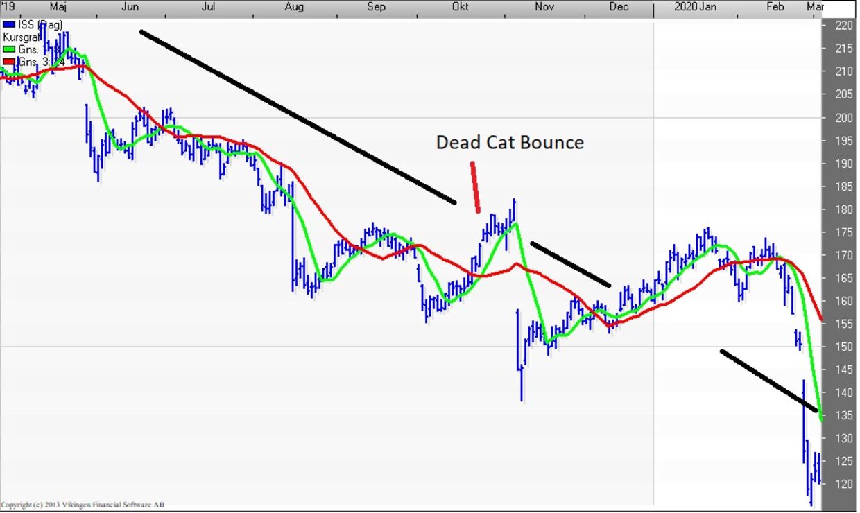 Hvad er dead cat bounce? www.euroinvestor.dk - www.euroinvestor.dk